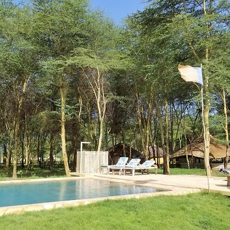 Africa Safari Camping Mto Wa Mbu Mto wa Mbu Exterior foto