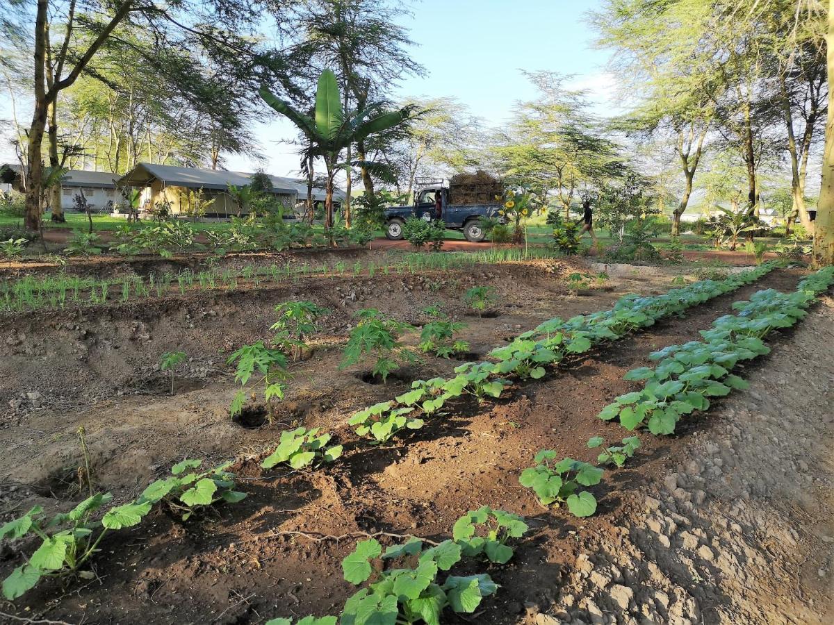 Africa Safari Camping Mto Wa Mbu Mto wa Mbu Exterior foto
