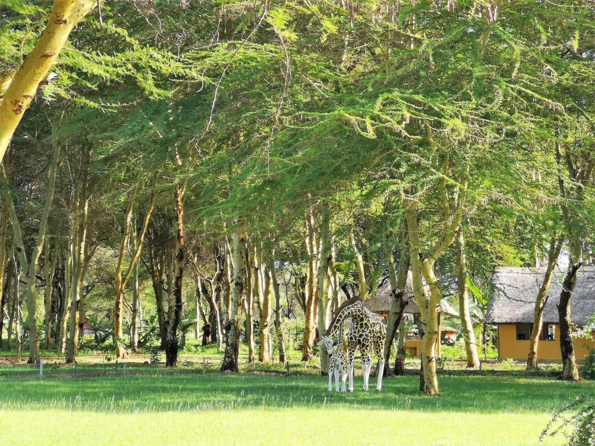 Africa Safari Camping Mto Wa Mbu Mto wa Mbu Exterior foto